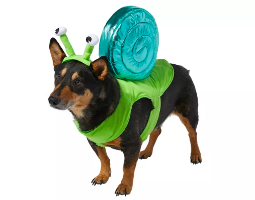  Star Wars: Yoda Halloween 2022 Pet Costume -Small -, Star Wars Halloween  Costumes for Dogs, Funny Dog Costumes