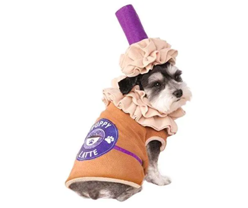 30 Pet Costumes That Made Halloween Spooktakular