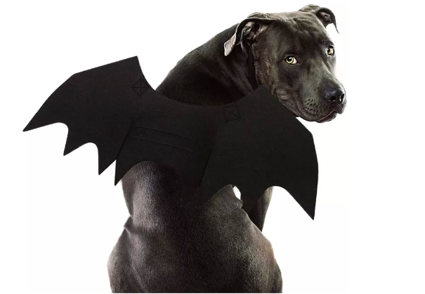 Black dog costume for adults sale