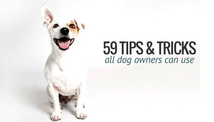 59 Tips & Tricks