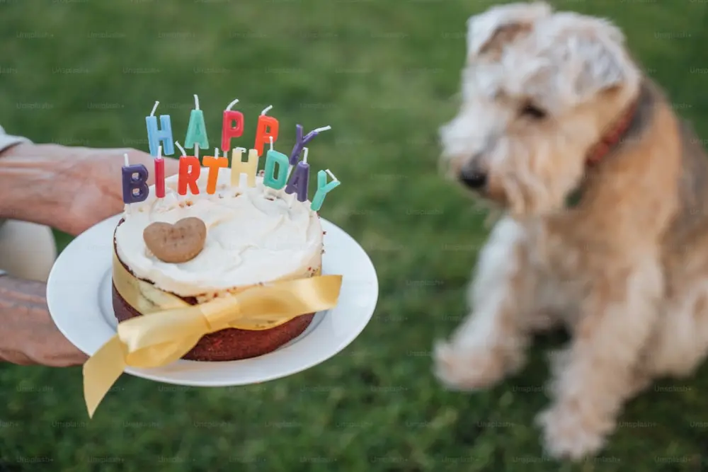 Dog-Friendly Birthday Cakes