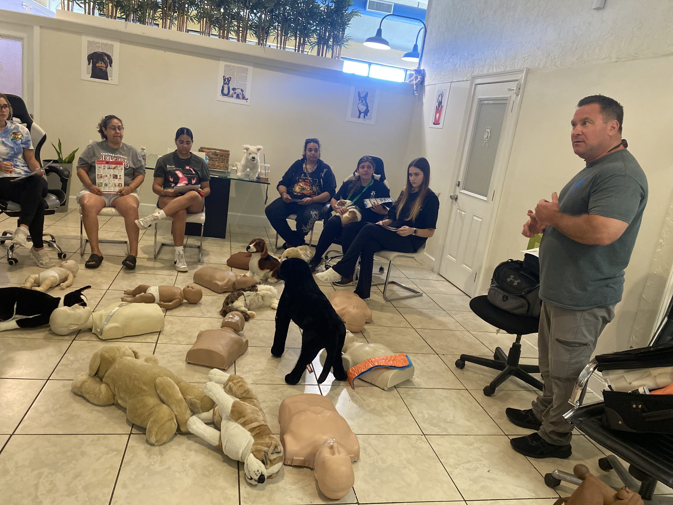 Types of Pet CPR Certification Courses