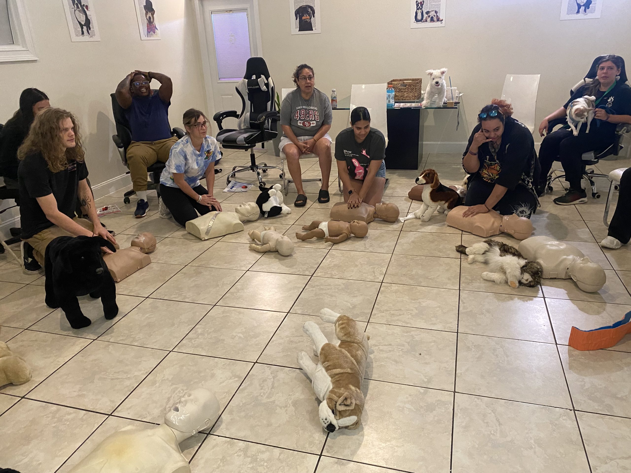 Benefits of Pet CPR Certification for VIP’s Staff