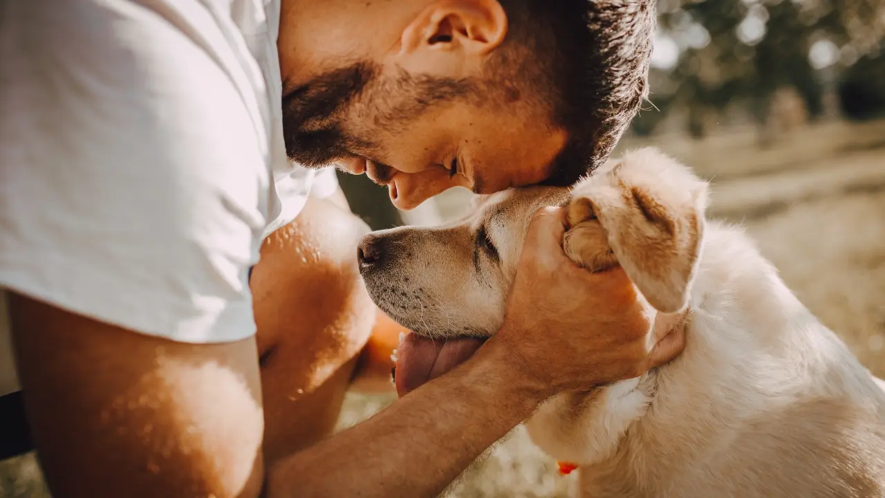 Give Your Dog Some Tender Loving Care