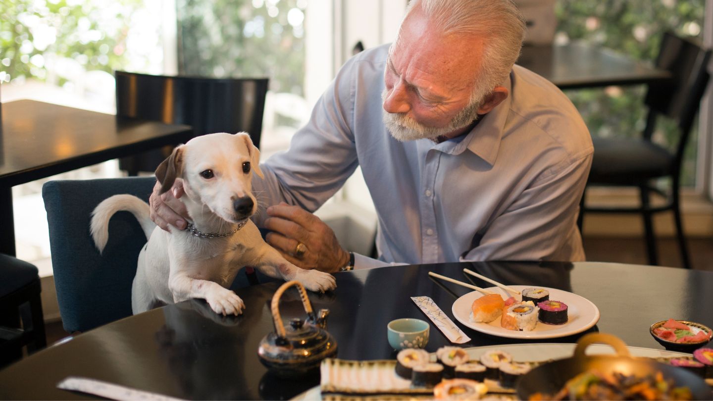 Tips for Enjoying a Meal with Your Dog in a Relaxed and Welcoming Environment