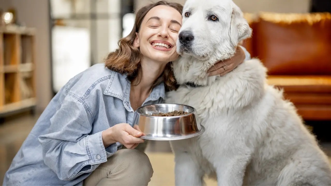 Try Treats Before Training of your wild dog