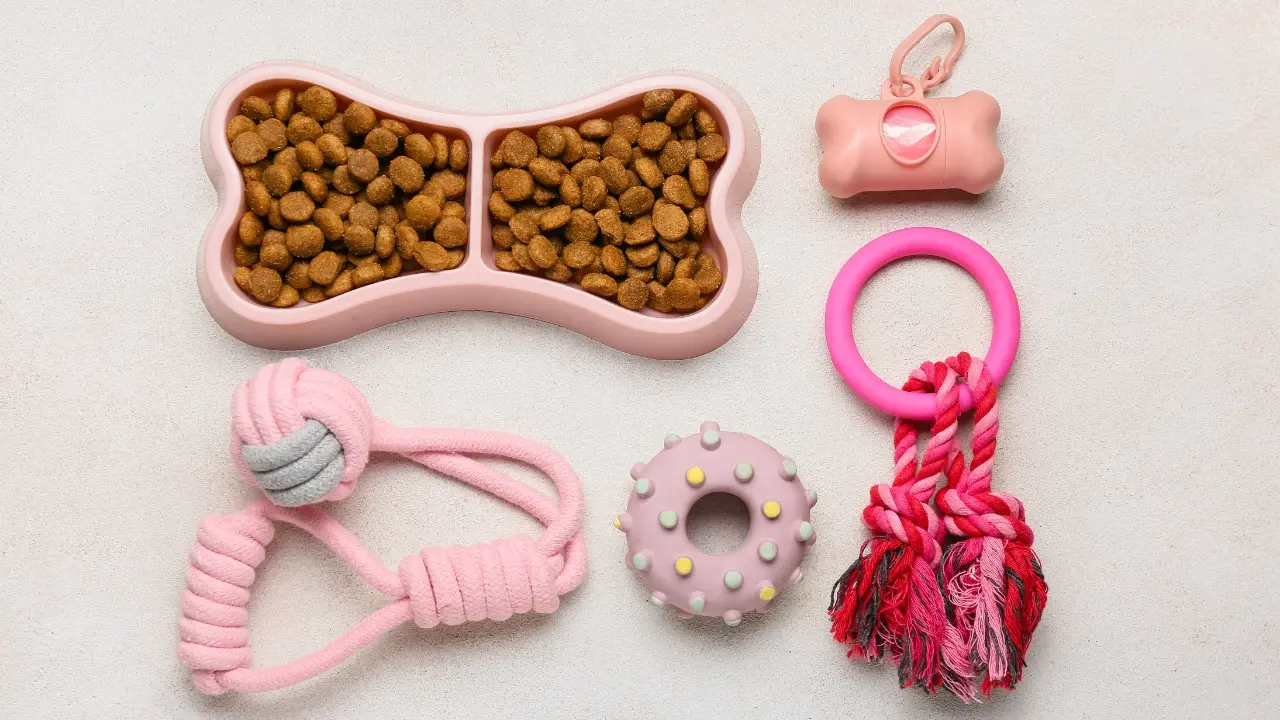 Using Food in Treat Toys for your Wild Dogs