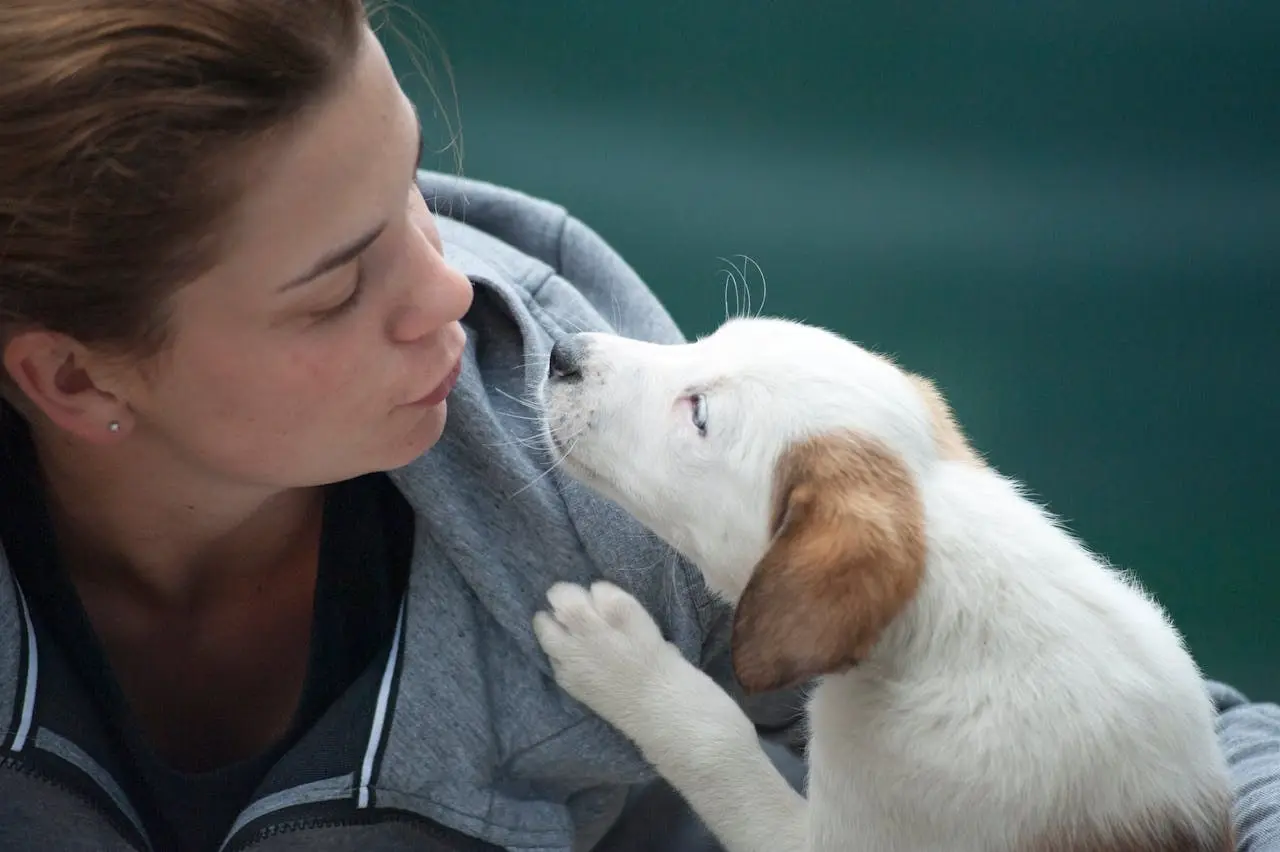 Signs Your Dog Likes Doggy Daycare Time